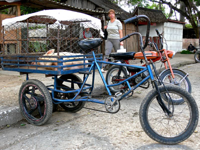 Trike carrying a pig