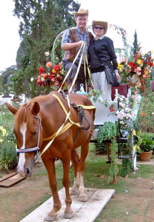 Lissu ja Antti länkkäreinä